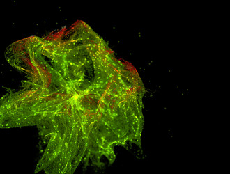 Similar image 21620328