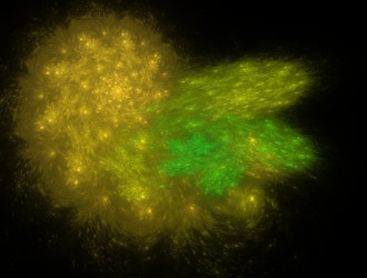 Similar image 21613863