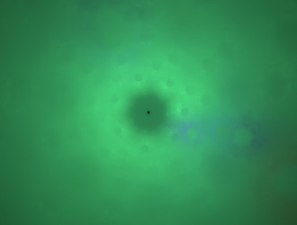 Similar image 21613870