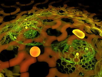 Similar image 21613871