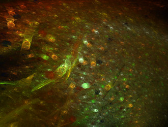 Similar image 21615083