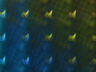 Similar image 21619128