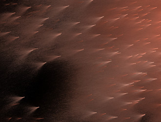 Similar image 21614301