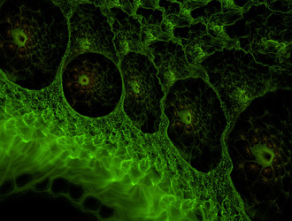 Similar image 21615088