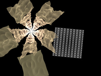 Similar image 21625170