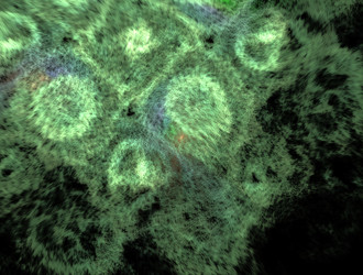 Similar image 21610682