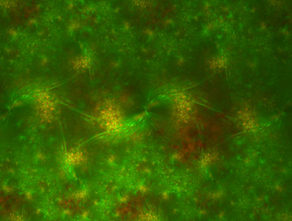 Similar image 21613013