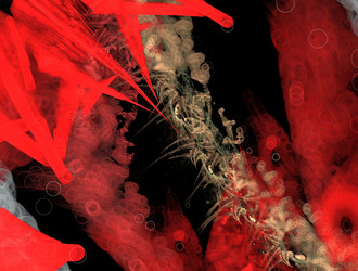 Similar image 21616371