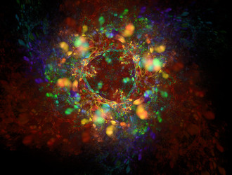 Similar image 21617855