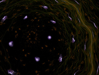 Similar image 21612257