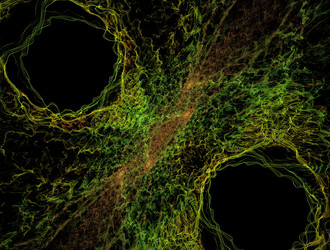 Similar image 21612483