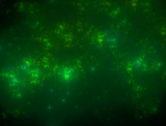 Similar image 21558669