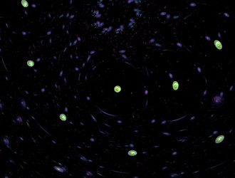 Similar image 21613023