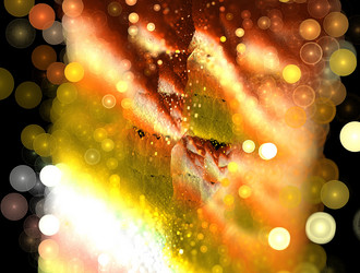 Similar image 21615749