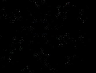 Similar image 21624919