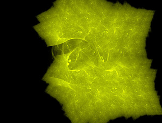 Similar image 21625935