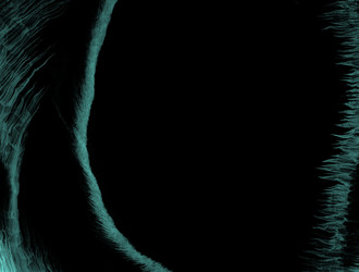 Similar image 21625182