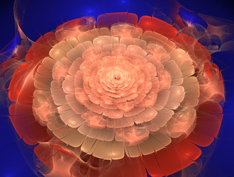 Similar image 21557962