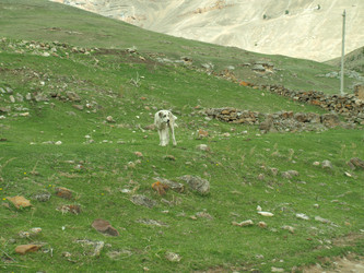 Similar image 21627904