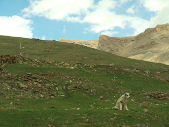 Similar image 21627905