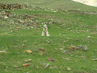 Similar image 21627907