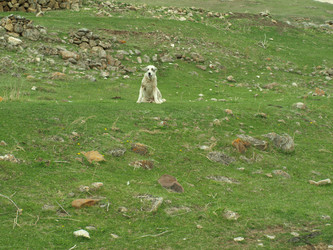 Similar image 21627908