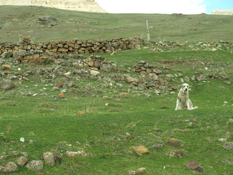 Similar image 21627909