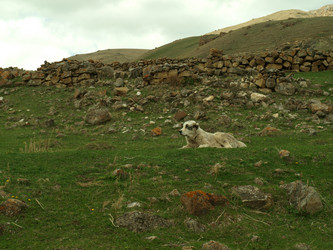 Similar image 21627910