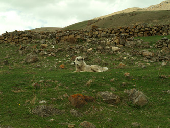 Similar image 21627911