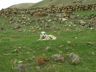 Similar image 21627912