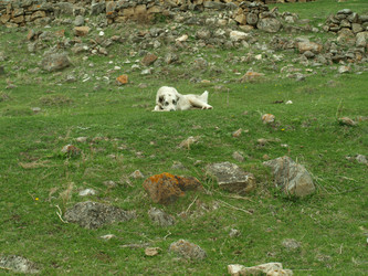 Similar image 21627913