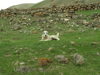 Similar image 21627914