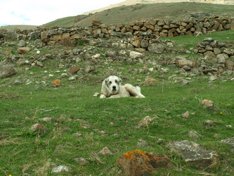 Similar image 21627915