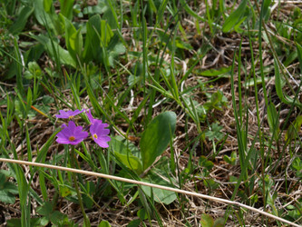 Similar image 21627916