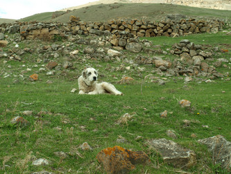 Similar image 21627917