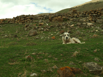 Similar image 21627918