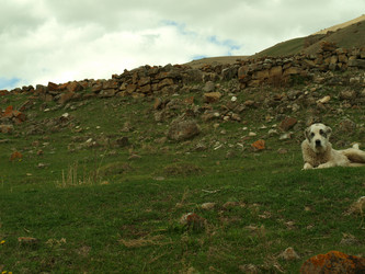 Similar image 21627919