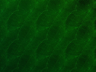 Similar image 21612662