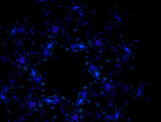 Similar image 21558058