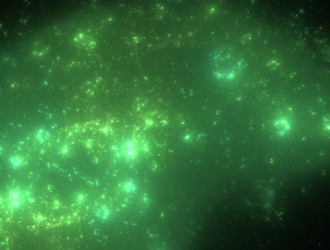 Similar image 21624442