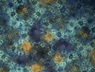 Similar image 21613914