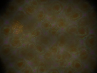 Similar image 21617173