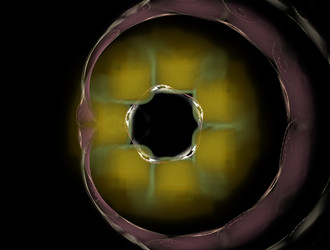 Similar image 21625694