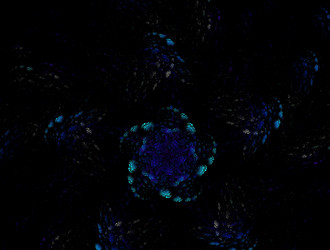 Similar image 21614330