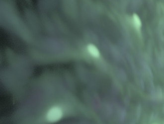 Similar image 21621099