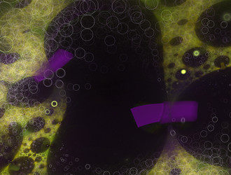 Similar image 21624935