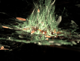 Similar image 21615799