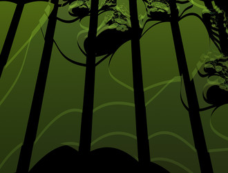 Similar image 21558062