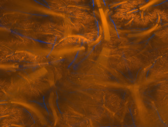 Similar image 21618661