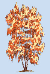 Similar image 21559139